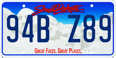 SD license plate 94BZ89