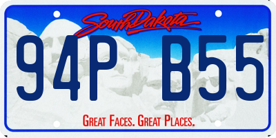 SD license plate 94PB55
