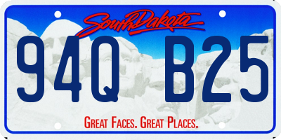 SD license plate 94QB25