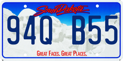 SD license plate 94QB55