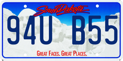 SD license plate 94UB55