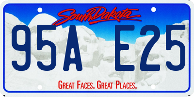 SD license plate 95AE25