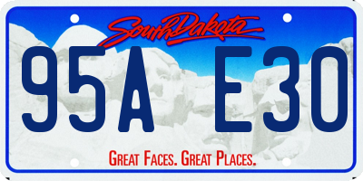 SD license plate 95AE30