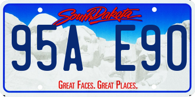 SD license plate 95AE90