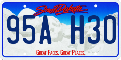 SD license plate 95AH30