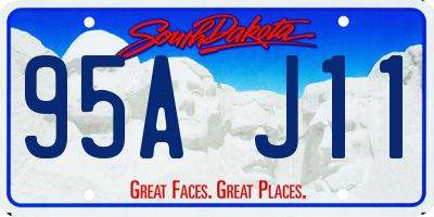 SD license plate 95AJ11