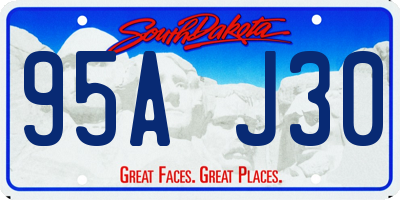 SD license plate 95AJ30