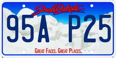 SD license plate 95AP25