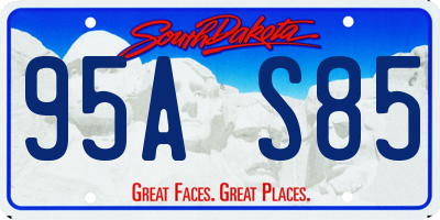 SD license plate 95AS85