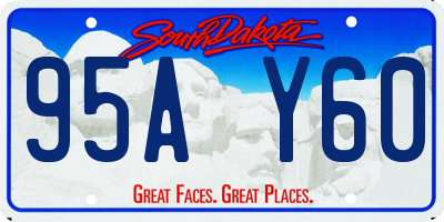 SD license plate 95AY60