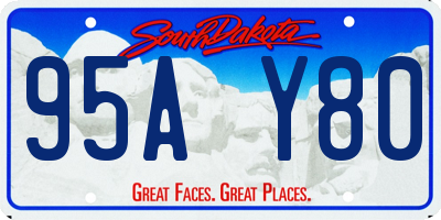 SD license plate 95AY80