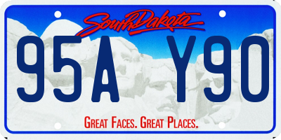 SD license plate 95AY90