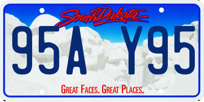 SD license plate 95AY95