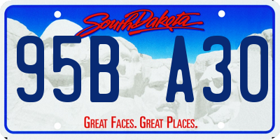 SD license plate 95BA30