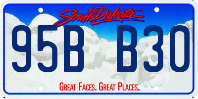 SD license plate 95BB30