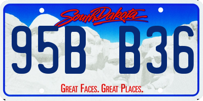 SD license plate 95BB36