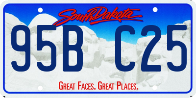 SD license plate 95BC25