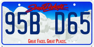 SD license plate 95BD65