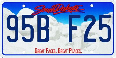 SD license plate 95BF25