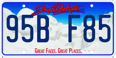 SD license plate 95BF85