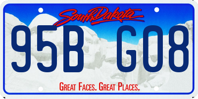 SD license plate 95BG08