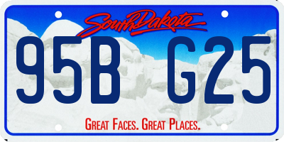 SD license plate 95BG25