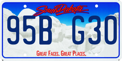 SD license plate 95BG30