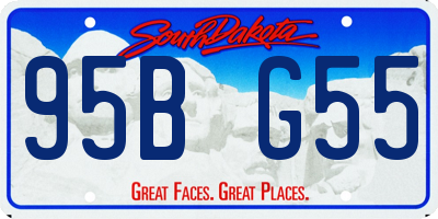 SD license plate 95BG55