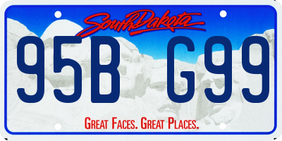 SD license plate 95BG99