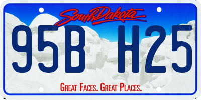 SD license plate 95BH25