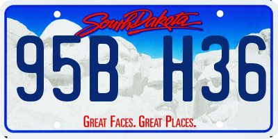 SD license plate 95BH36