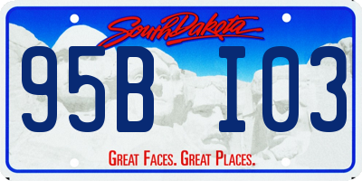 SD license plate 95BI03
