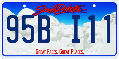 SD license plate 95BI11
