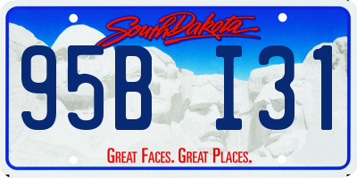 SD license plate 95BI31