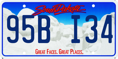 SD license plate 95BI34