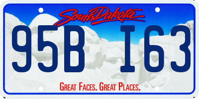 SD license plate 95BI63