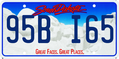 SD license plate 95BI65