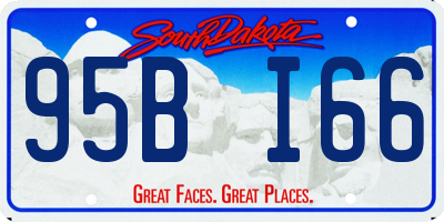 SD license plate 95BI66