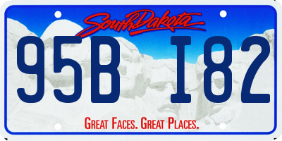 SD license plate 95BI82