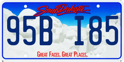 SD license plate 95BI85