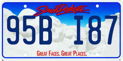 SD license plate 95BI87