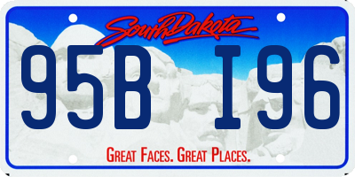 SD license plate 95BI96