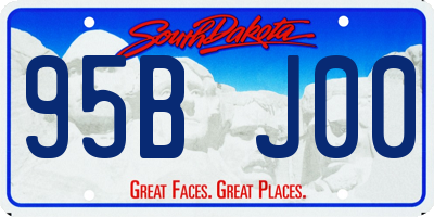 SD license plate 95BJ00