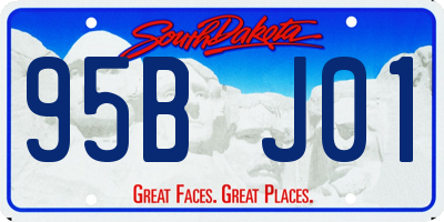 SD license plate 95BJ01