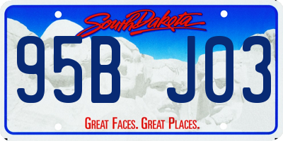 SD license plate 95BJ03