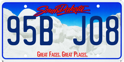 SD license plate 95BJ08
