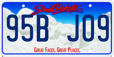 SD license plate 95BJ09