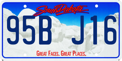 SD license plate 95BJ16