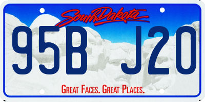 SD license plate 95BJ20