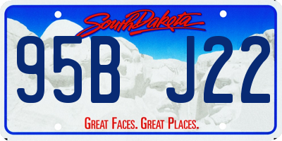 SD license plate 95BJ22